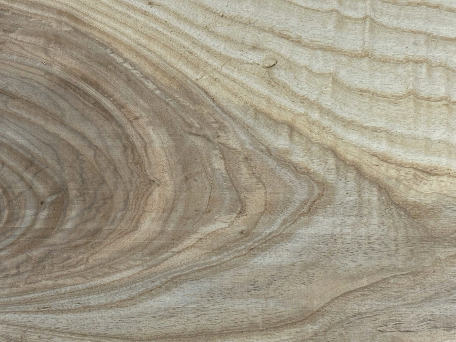 Voorbeeld van Esdoorn (Maple)